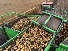 Россия и Монголия договорились о беспошлинном ввозе сельхозпродукции