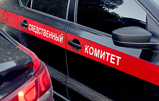 Поджегшему релейный шкаф на ж/д станции в Ступине предъявили обвинение в теракте