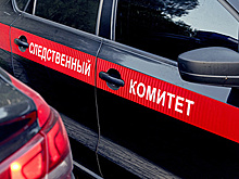 Поджегшему релейный шкаф на ж/д станции в Ступине предъявили обвинение в теракте