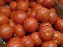 В Волгоградской области подскочили цены на помидоры