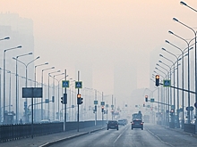 Названа причина пожара на торфяниках в Екатеринбурге