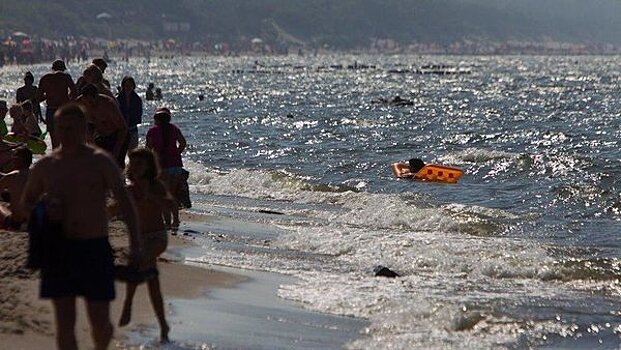 Эксперт рассказал об опасности купания в Балтийском море во время цветения водорослей