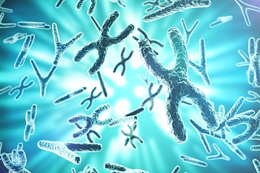 Найден способ избавить клетки человека от лишних хромосом