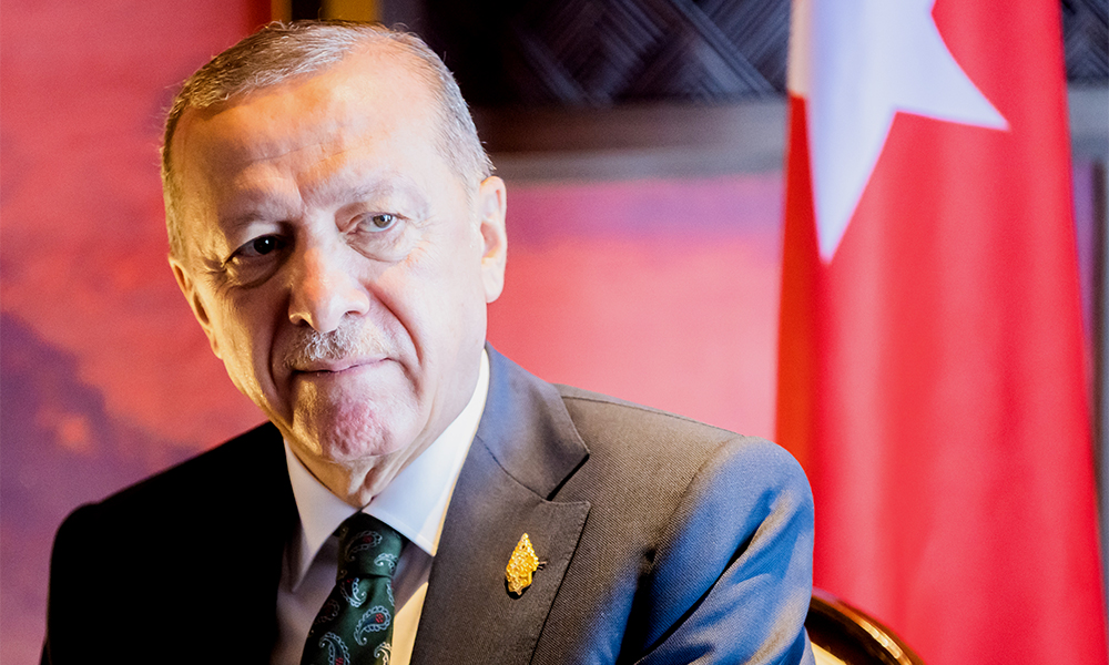 Эксперт оценил слова Эрдогана об отказе одобрить вступление Швеции в НАТО