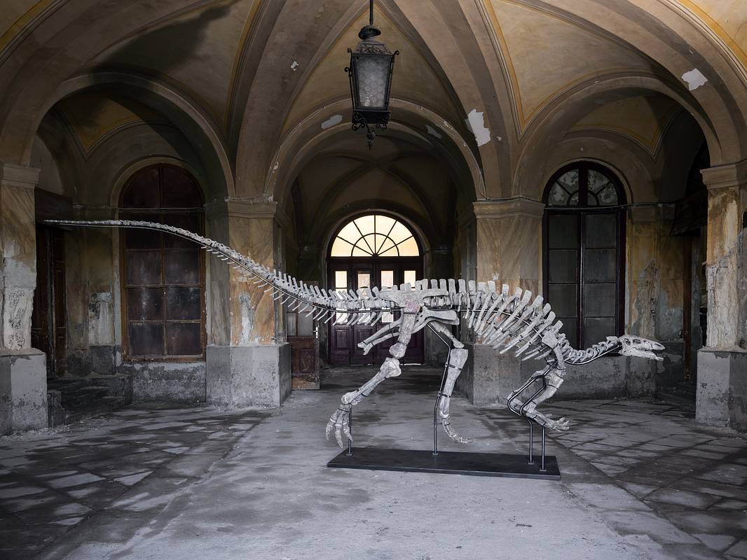 Опровергнута популярная гипотеза об окаменелостях динозавров