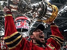 Чемпион мира и трёхкратный обладатель КГ Алексей Емелин вошёл в тренерский штаб «Лады»