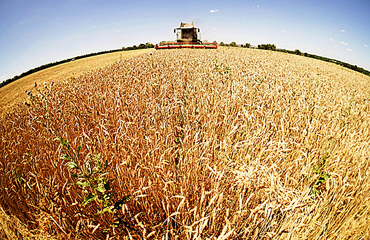 Губернатор Ростовской области сообщил, что в регионе собрали самый большой урожай ранних зерновых