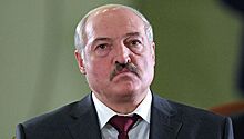 «Больше не пишите»: Лукашенко вывели из себя