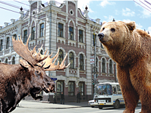 Каменные джунгли. Почему дикие звери выходят к людям?