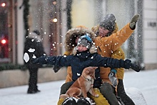 «Стихия разбушевалась»: соцсети про сильный снегопад в Московском регионе