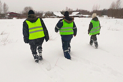 В огороде у соседки. Найдено тело пропавшей в Новгородской области девочки