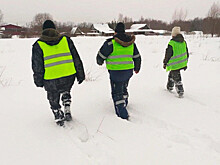 В огороде у соседки. Найдено тело пропавшей в Новгородской области девочки