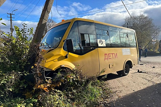 Под Новгородом в ДТП попал школьный автобус с 11 детьми