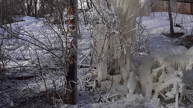 Из-за прорыва трубы дерево в Саратове превратилось в ледяную «инсталляцию»