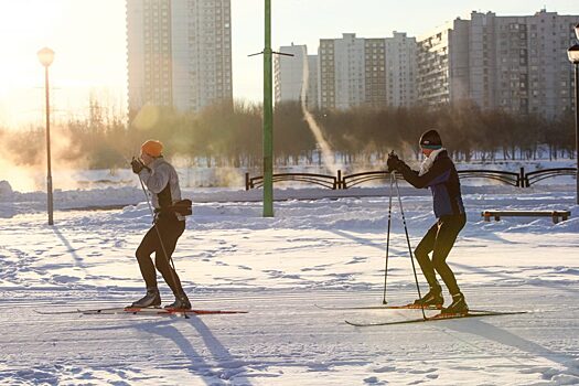 Свыше 380 лыжных трасс общей протяженностью более 580 км подготовят к зимнему сезону в Москве