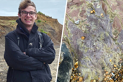 Палеонтолог обнаружил след динозавра возрастом 127 млн лет