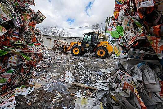 Названа причина нежелания россиян сдавать мусор