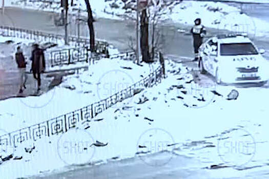 В Балашихе двое мужчин закидали машину ДПС снежками и подрались с инспектором