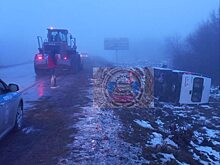 Водитель «ГАЗели» опрокинулся в кювет на трассе под Саратовом