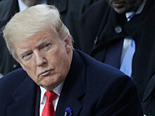 Трамп возобновил работу правительства США на условиях оппозиции