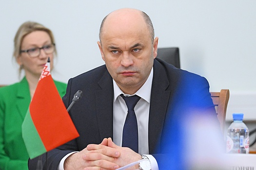Рогожник: Россия и Беларусь не должны "кормить" недружественные страны