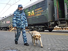 На Урале начались учения силовиков на железной дороге