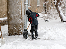 Известные новосибирцы вспомнили о работе дворниками в день ЖКХ