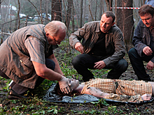 Убийство школьницы, поставившее в тупик всю милицию СССР