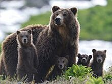 Фильм пермячки стал лучшим документальным фильмом года