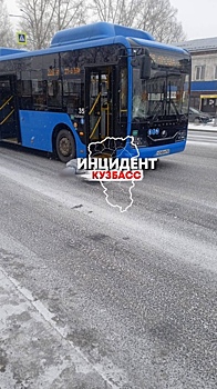 В Кемеровской области проводят проверку по факту ДТП с автобусом и пешеходом