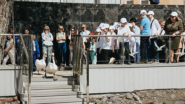 Жители Капотни встретили лебедей, вернувшихся в пруд после зимовки