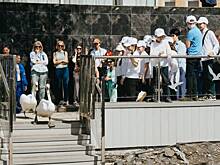 Жители Капотни встретили лебедей, вернувшихся в пруд после зимовки
