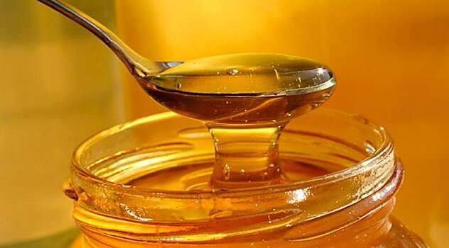 Врачи рассказали, почему мед полезен для здоровья