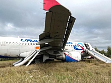 Самолет, севший в поле в Новосибирской области, разберут до декабря