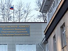 Председатель СК России взял на контроль проверку в детском лагере, где девушки избили сверстницу