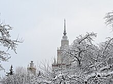 В Москве высота снежного покрова может достичь 6 см к концу следующей недели