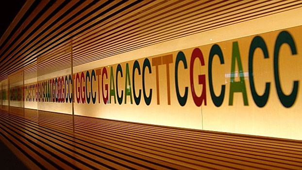 Некоторые методы прочтения ДНК пропускают целые «страницы»