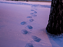 От осенней слякоти до сибирской стужи: ноябрь в Новокузнецке оказался контрастным
