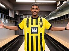 "Боруссия" нашла замену Аллеру, у которого выявили рак яичка