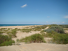 ЮФУ зафиксировал один из самых низких уровней загрязнения мазутом в Чёрном море за 18 лет