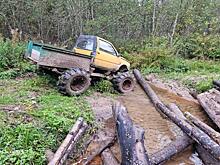 В течение сентября несколько десятков жителей Костромской области потерялись в лесах