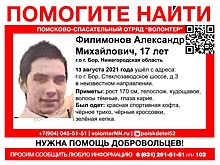 17-летний Александр Филимонов пропал на Бору