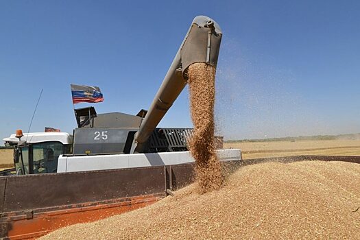 Депутат Лисовский: Каир отказался от русской пшеницы из-за ее высокой стоимости