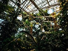 Жителей столицы пригласили на концерт в честь открытия фестиваля орхидей в «Аптекарском огороде»