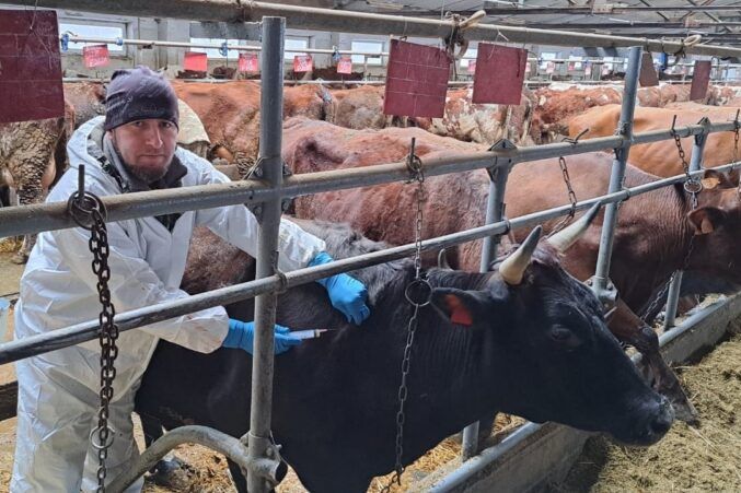 Стоп, инфекция: на Дону открыли сезон обработки животных против особо опасных болезней