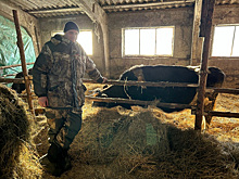 Фермер из Екатеринбурга переехал в Курганскую область восстанавливать хозяйство