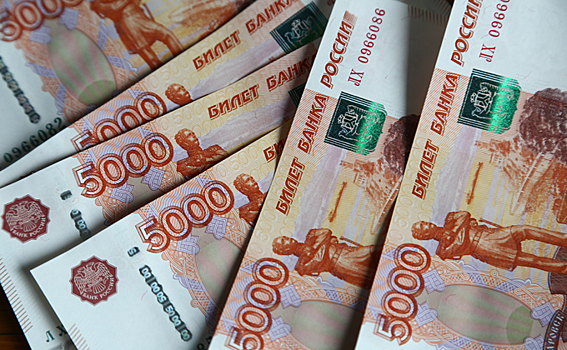 На что потратят дополнительные деньги новосибирские чиновники