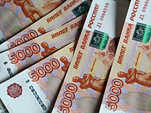 На что потратят дополнительные деньги новосибирские чиновники