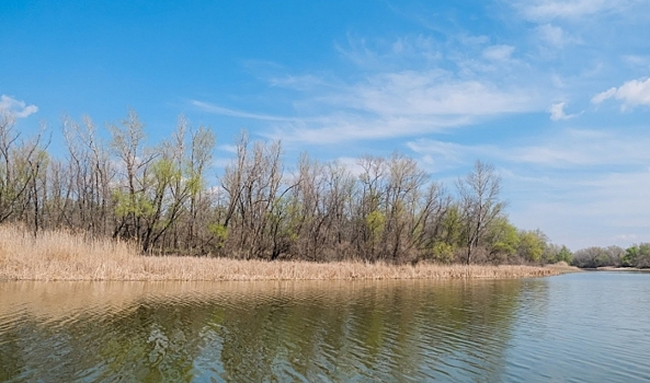 Алексей Теплый: что нужно сделать 30 марта, чтобы привлечь успех в делах