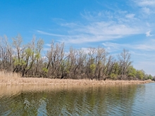 Алексей Теплый: что нужно сделать 30 марта, чтобы привлечь успех в делах